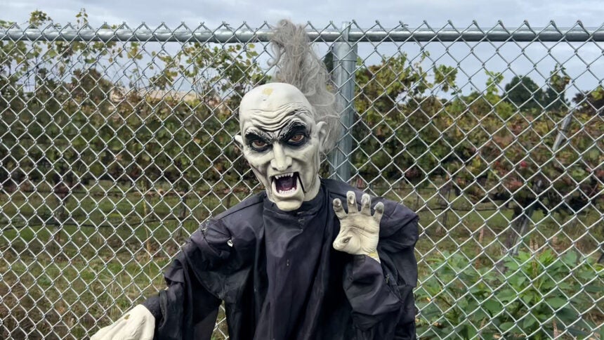 Big Thrills & Safe Scares: Santa Maria’s Halloween Events Redefine Fun & Safety for Everyone Big Thrills & Safe Scares: Santa Maria’s Halloween Events Redefine Fun & Safety for Everyone