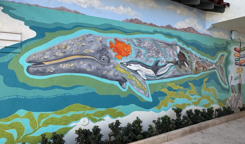 Similar Whale Murals painted in Sister Cities; Ventura and Loreto, Mexico