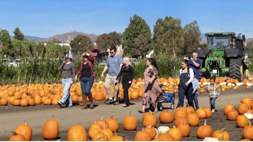 Great Pacific Pumpkins extends hours
