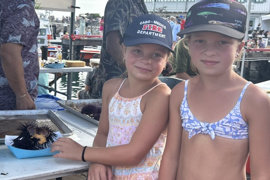Lobster and Sea Urchins sell at Seafood Fest