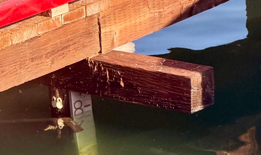 Tides Reach New Heights Along the Coast