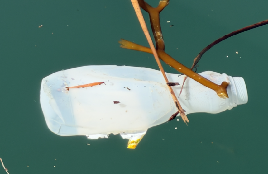 Tidy Seas Seeks More Funds & Volunteers in a Year-Round Coastal Trash Cleanup Effort Tidy Seas Seeks More Funds & Volunteers in a Year-Round Coastal Trash Cleanup Effort