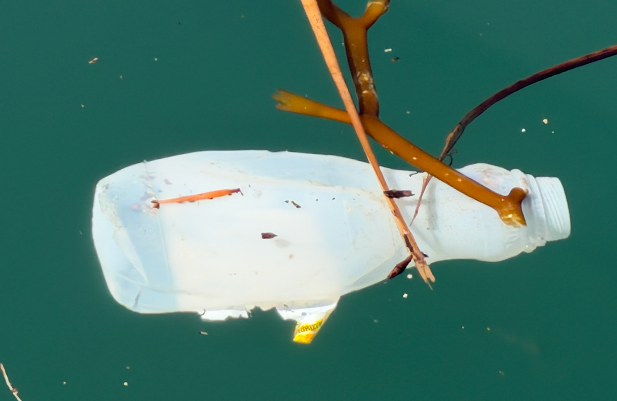 Runoff trash is an ongoing environmental problem targeted by the group Tidy Seas.